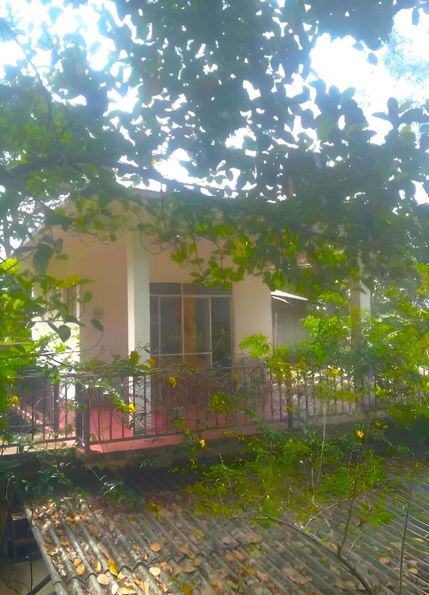Senehas Homestay 엘라 외부 사진